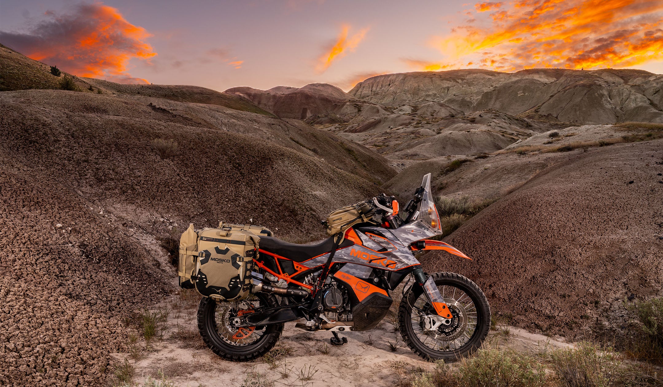 Built for the Wild Ride